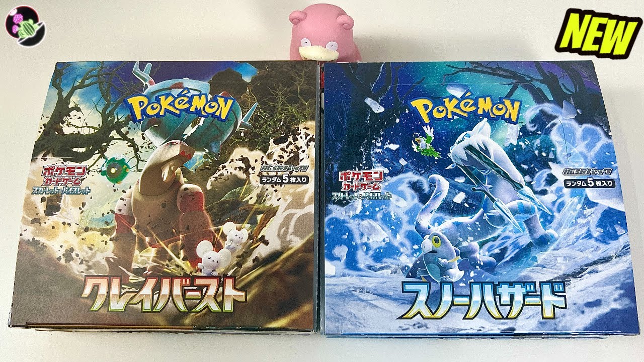 スカーレット バイオレット スノーハザード カートン 12ボックス 12BOX