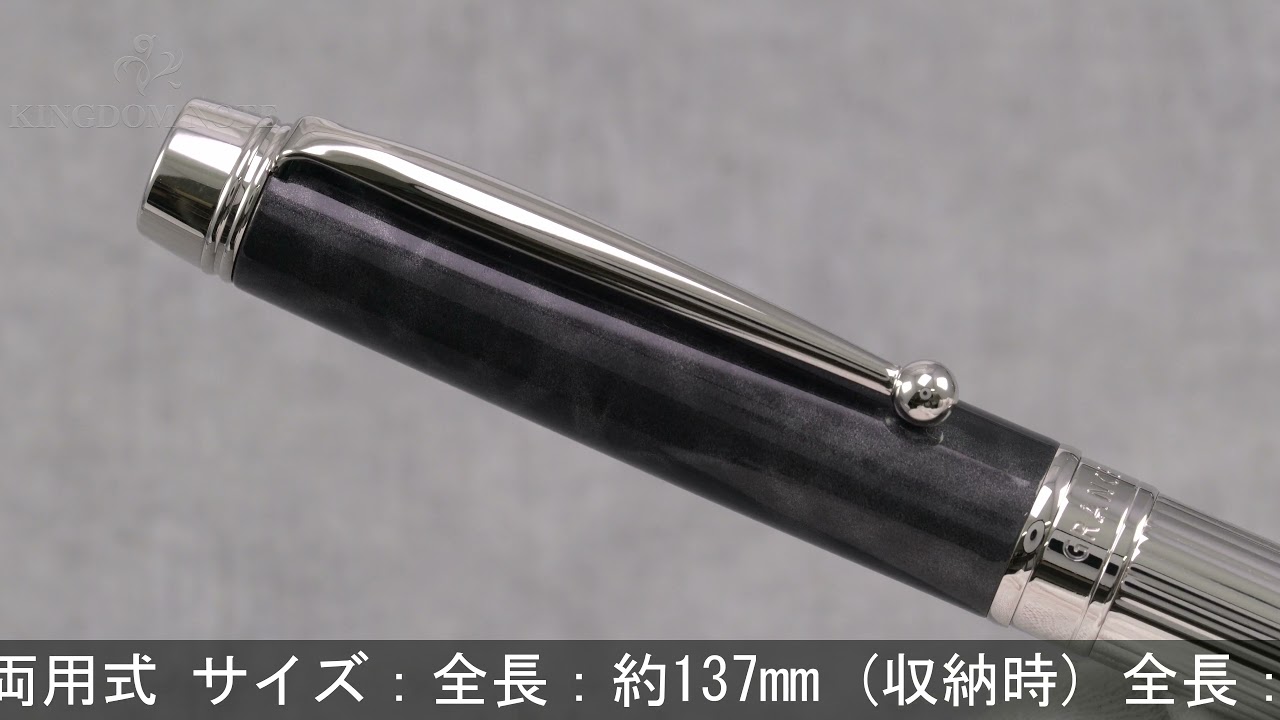 PILOT パイロット 万年筆 グランセ ロジウムコンビ ブラック&グレー