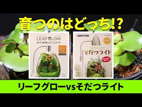 hqdefault.jpg?v=5c2c14de