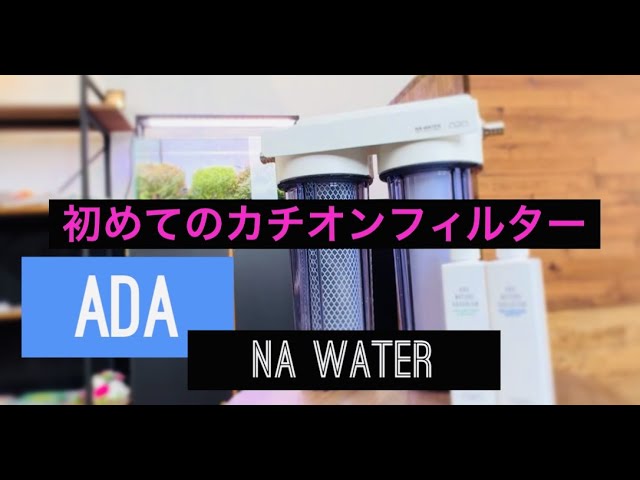実際どうなの？初めてのカチオンフィルター！ADA NAウォーター - YouTube