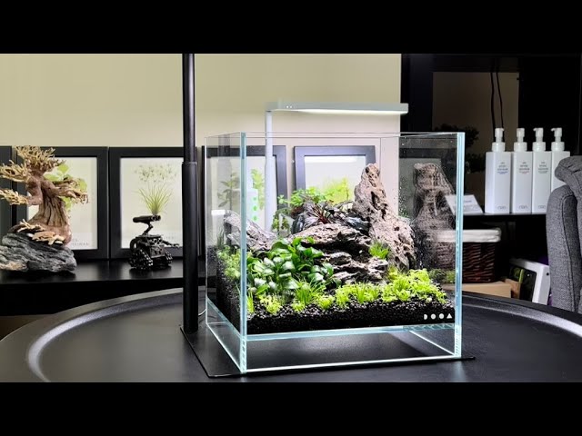 dooa スタンドとdo!aquaの水槽 DOOA マグネットライト Gと専用スタンド