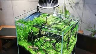 植物育成ライト専門店BARREL｜【NEO AMATERAS 20W】電球E26