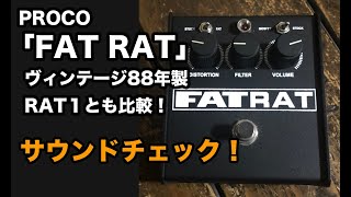 PROCO RATをレビュー！年代別の見分け方とサウンドを比較してみた