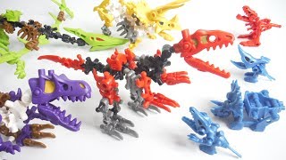 Honehone saurus Blocks2 