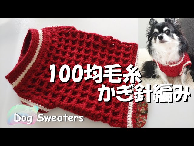 かぎ針犬用セーター】意外と簡単ワッフル編みで可愛い犬用セーターを