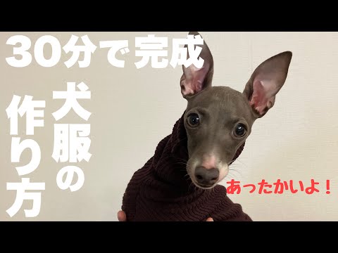 コトリページ イタグレ服 ハンドメイド hqdefault.jpg