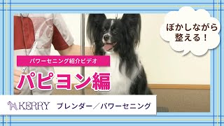 ケリー ブレンダー 8.0-23-50* - ワンクスオンラインショップ