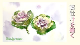 Transparent Watercolor for Beginners 87] Chrysanthemum - YouTube