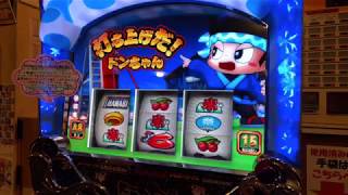 REGで1000枚Over獲得可能⁉️青ドン~花火の極~【REG大量獲得Ver】✨設定