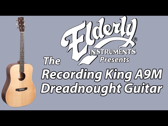 入手困難 Recording King RD-A9M オール単板 ドレッドノート Recording