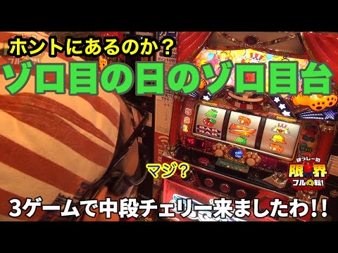 Double Number Machine on Double Number Day] Limit Full Spin #219