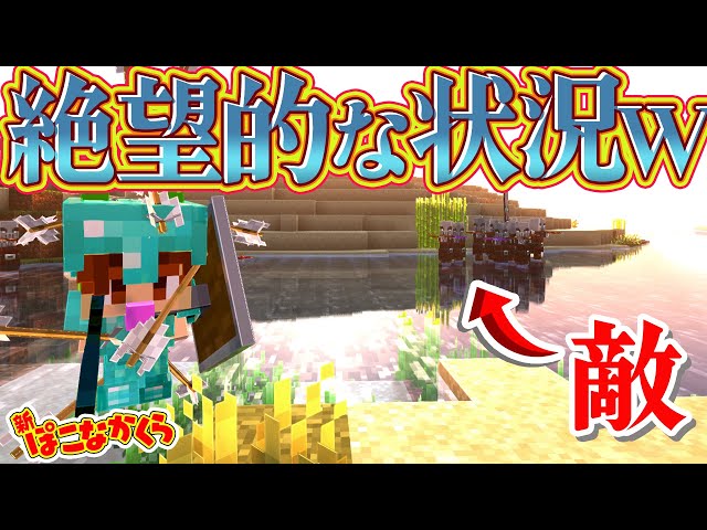 New Pokonakakura #20] Hard work Will we be able to bring Array