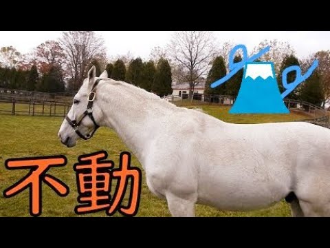 ゴールドシップまとめ - YouTube