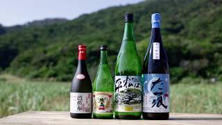 琉球泡盛 || 酒造所一覧 | 【沖縄県酒造組合公式】