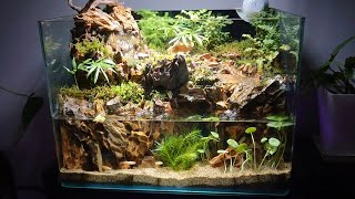 Aqua terrarium production with waterfall, river, and underwater