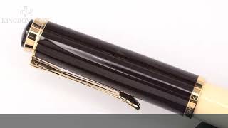 Pelikan ペリカン 万年筆 スペシャルエディション クラシック M200