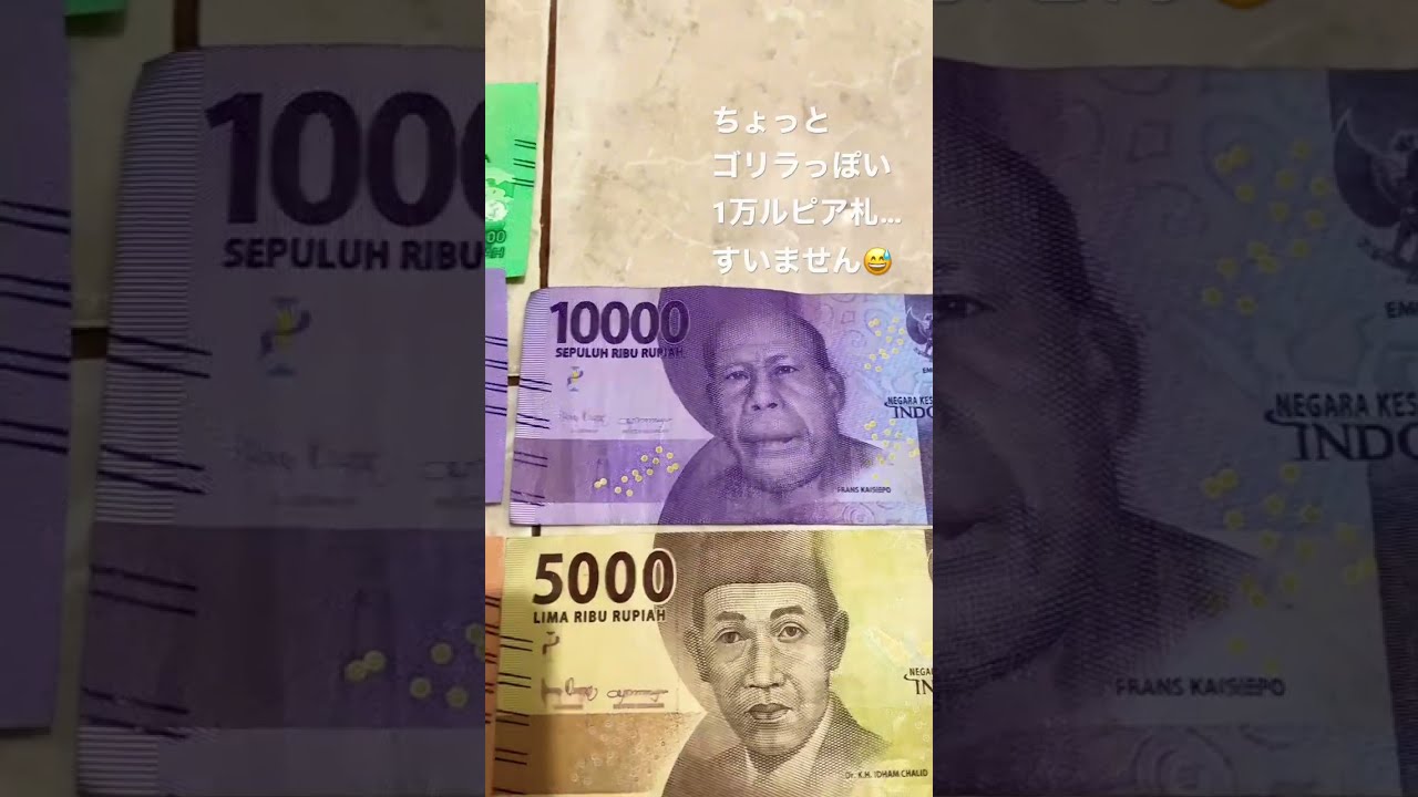 バリ島 インドネシア ルピア 旧紙幣 ジャカルタ スラバヤ ロンボク