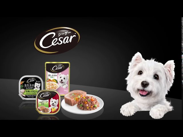 シーザー® ドライフード 素材本来のおいしさと栄養 あのシーザー® から