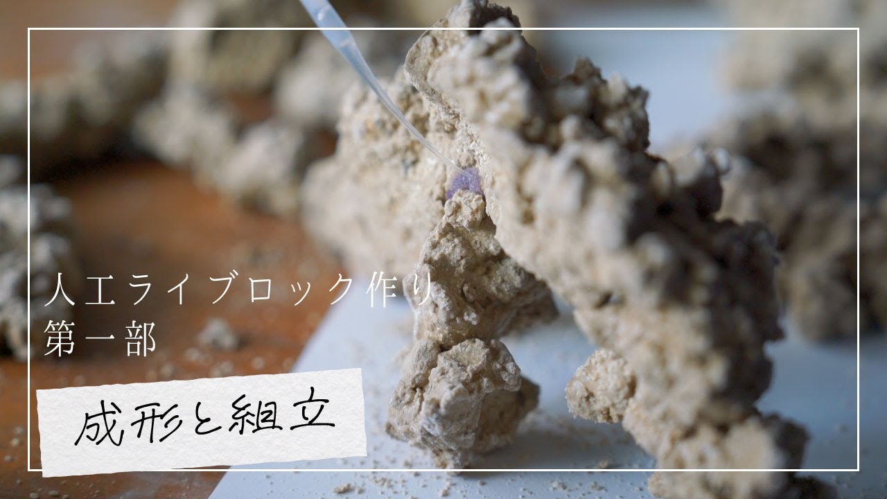 人工ライブロック SHR36 アク抜き済み安心塗料使用 人工ライブロック