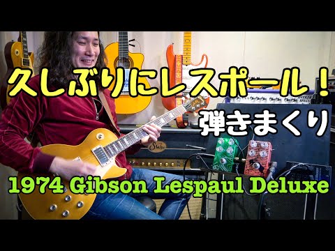 強烈なファズとオーバードライブを弾いてみた🎸 Vivie MadMurcian Fuzz