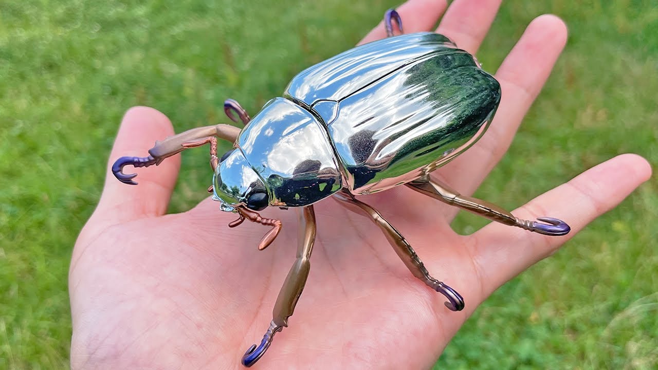 26009 クリサルギレアプラチナコガネ 29mm】多分クリサルギレア