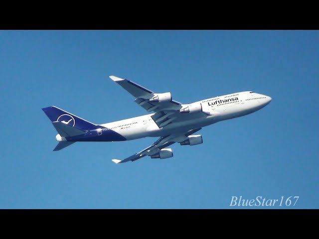 LH Lufthansa Aviationtag B747-400 紺色 LH Lufthansa Aviationtag
