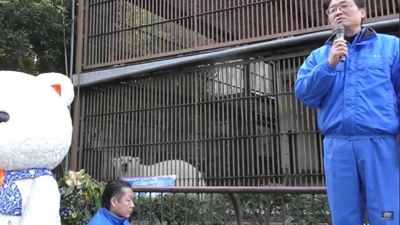 A Zoo in Japan Celebrates their Beloved Polar Bear “Peace”'s 25th
