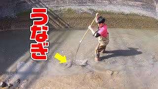 わずか数分】うなぎが飛び出すアイテムが凄すぎた!! - YouTube