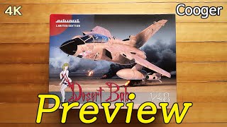 Eduard 1/48 Desert Babe Limited Edition Preview (Panavia Tornado