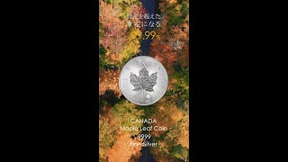 カナダ 2022 メイプルリーフ 5ドル 1オンス 銀貨 【25枚】 (コイン