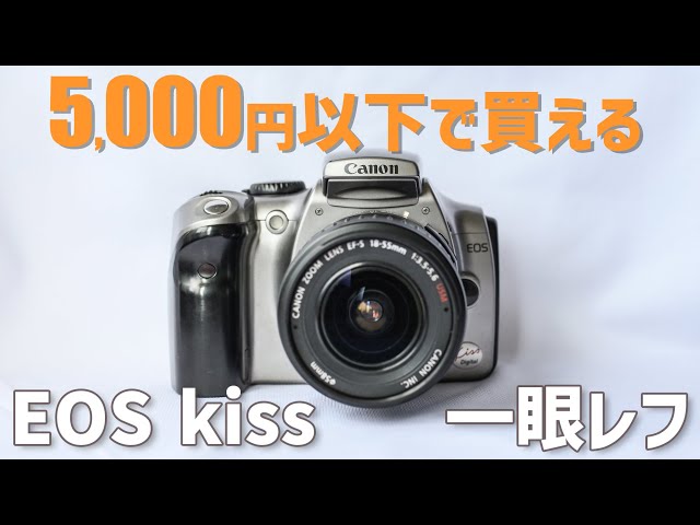 Canon EOS Kiss DIGITAL ✨ 一眼レフデビュー 初心者 Canon EOS Kiss