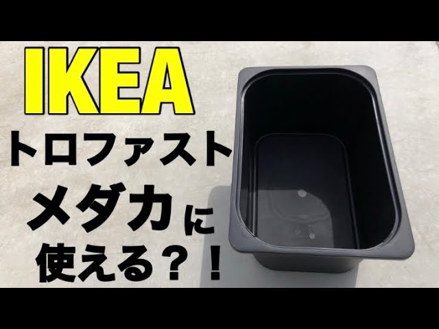 IKEAのトロファスト メダカ容器としてどうなの？買ってきてNV13と比較