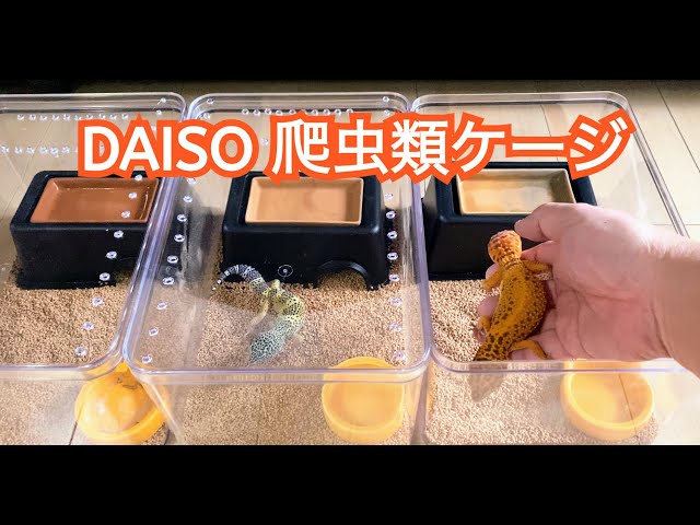 爬虫類 飼育棚 木製7段スネークラック ダイソーシューズケース28個付