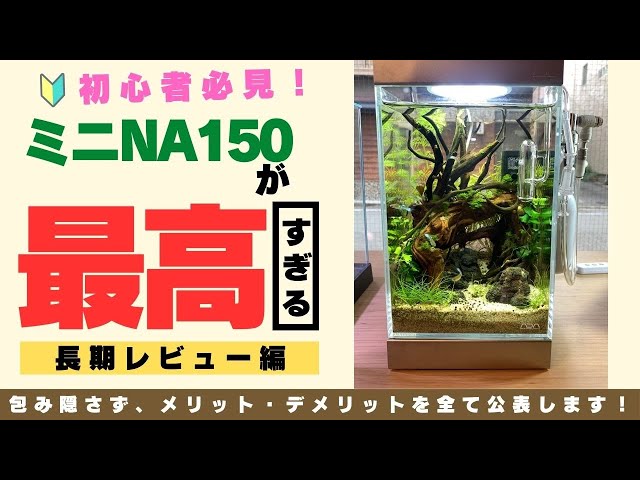 ADA水槽①②③セット