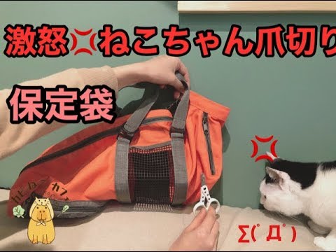 強制給餌 袋 猫保定袋 Mサイズ 怪我防止 爪切り 薬 だっこ 補液袋 点滴