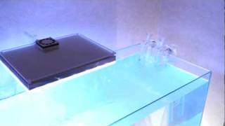 マメデザイン マメオーバーフローM(mame overflow M) | チャーム