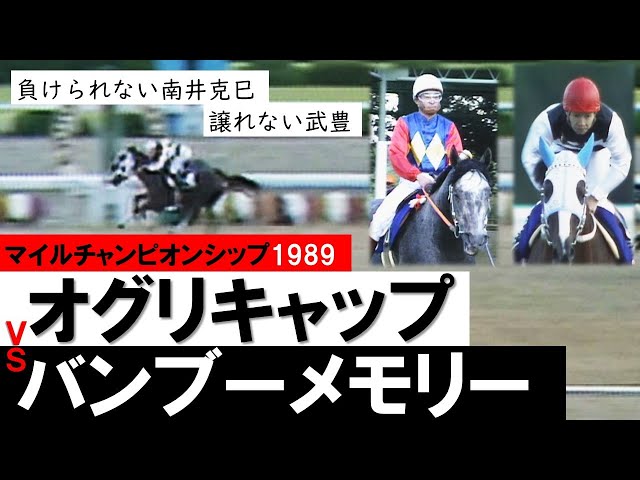 超レア物】オグリキャップ・武豊騎乗のカレンダー（2006年
