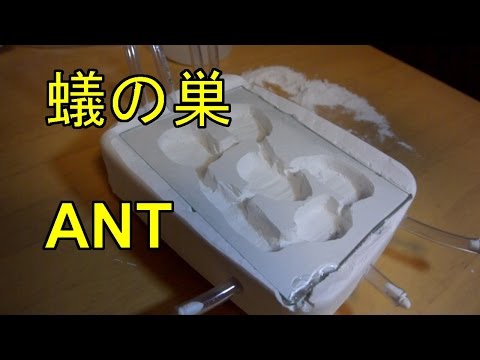 簡単に作れる蟻の巣 石膏巣 ant nest 【アリ飼育】 - YouTube