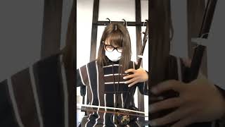 螺鈿大葉紫檀二胡（試聴可） N-STBLR43-0101 - 二胡の通販、卸販売なら