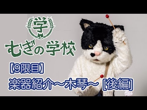 むぎ(猫) - YouTube