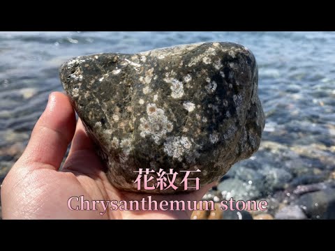 沖縄で拾った人みたいな石 沖縄で拾った人みたいな石