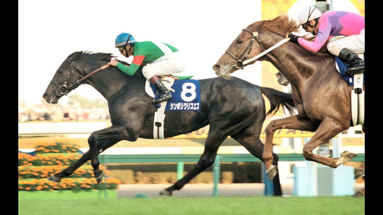 現地的中】単勝馬券 2004年 皐月賞 ダイワメジャー 10番人気1着！ 現地