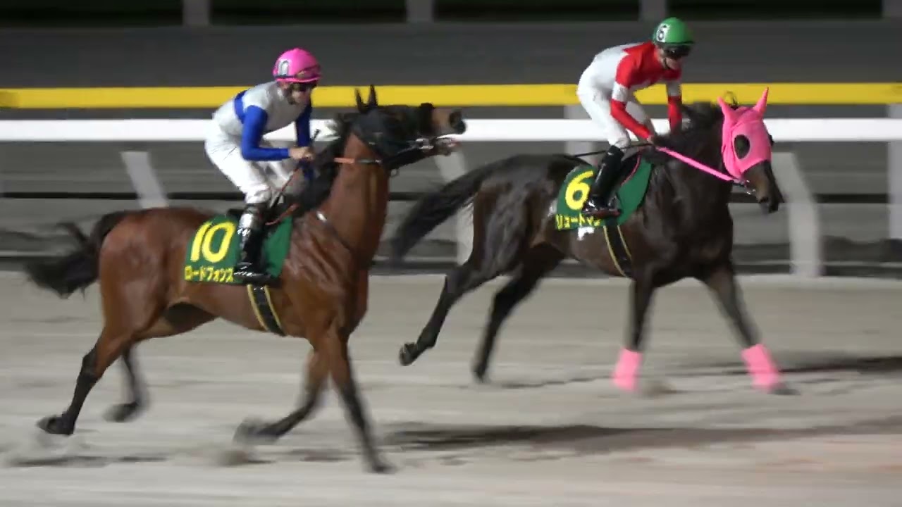 現地観戦馬券】2020年 ジャパンカップ 1,2,3着馬券 現地観戦馬券】2020