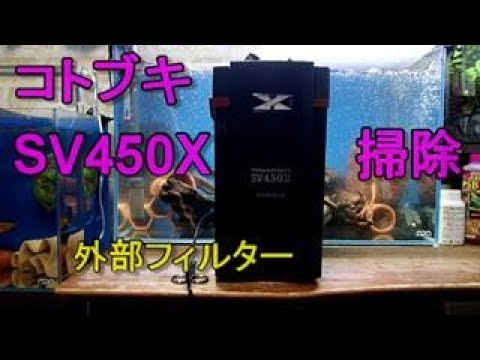 コトブキの外部フィルター『SV450X』の掃除映像です。 - YouTube