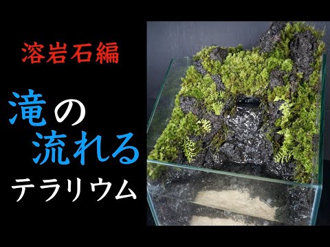 溶岩石レイアウト 滝の流れるアクアテラリウムを立ち上げる - YouTube