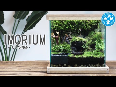 テラリウム・ビバリウム・パルダリウム - YouTube