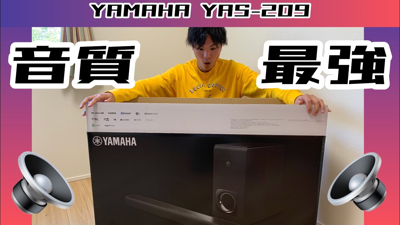 2個口の① YAMAHA YAS-209 サウンドバー + サブウーファー ヨドバシ