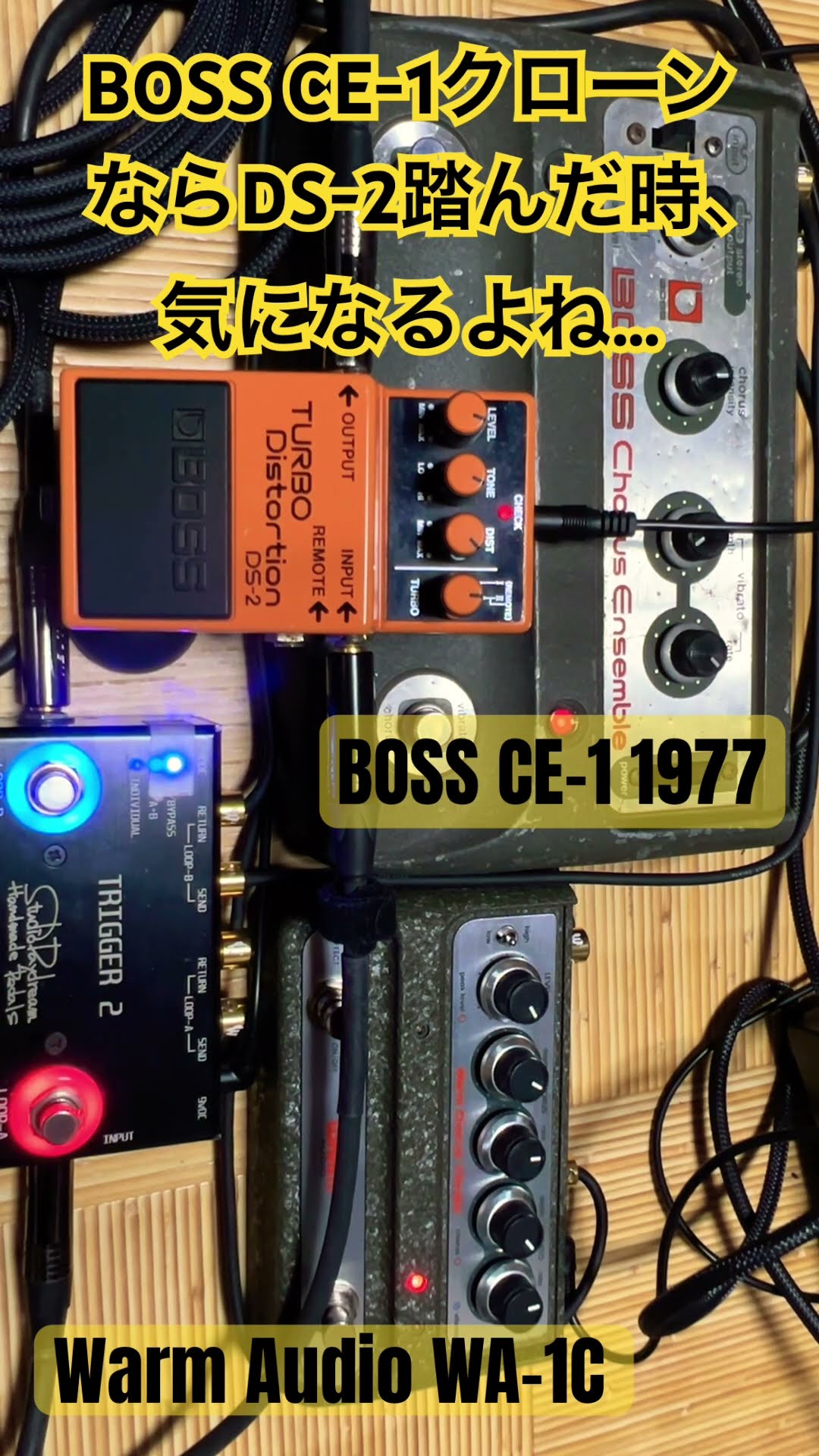 WARM AUDIO WA-C1 CE-1 完全クローン 即受取の方 WARM AUDIO WA-C1 CE