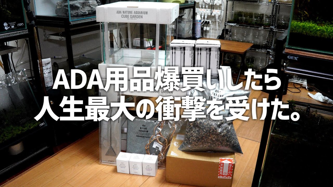アクア用品最速レビュー②】ADA パワーコードS-70の検証〜従来の