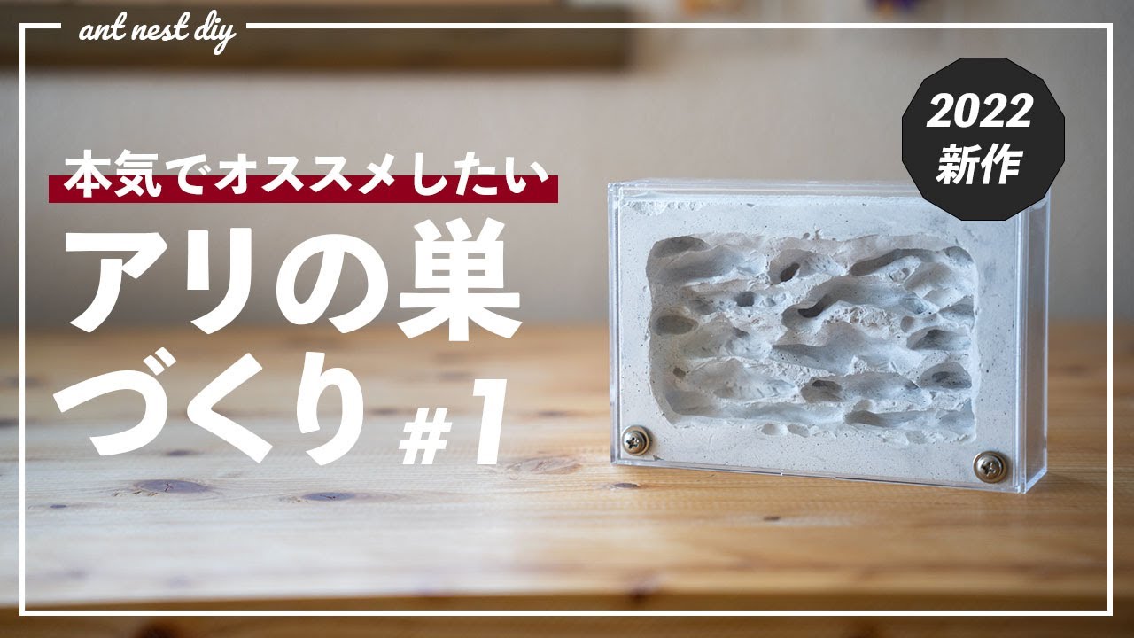 hq720.jpg?sqp=-